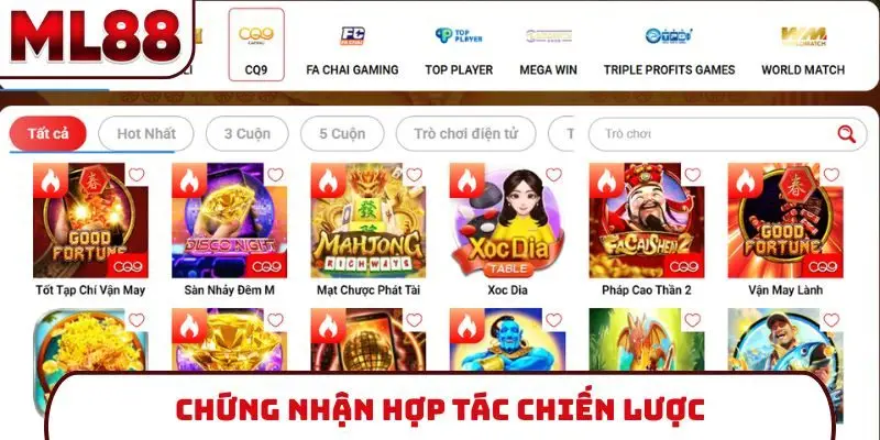 chung-nhan-hop-tac-chien-luoc