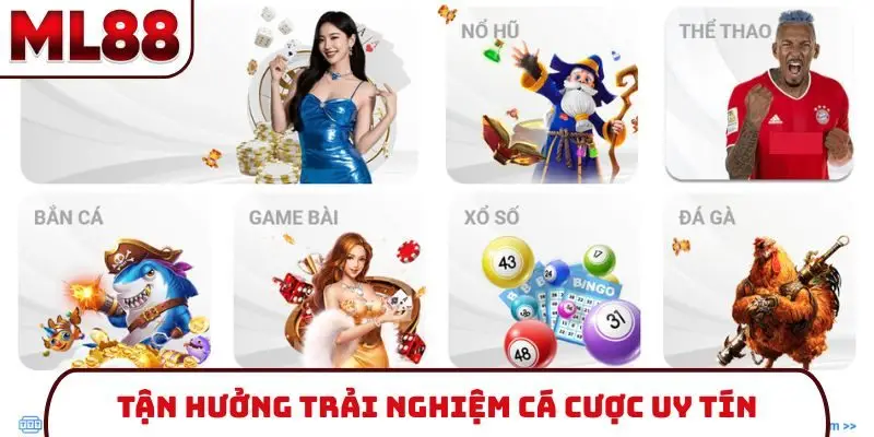 tan-huong-trai-nghiem-ca-cuoc-uy-tin